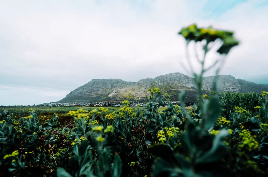 베트남 리트릿여행, 몸과 마음이 쉬는 섬🏝️