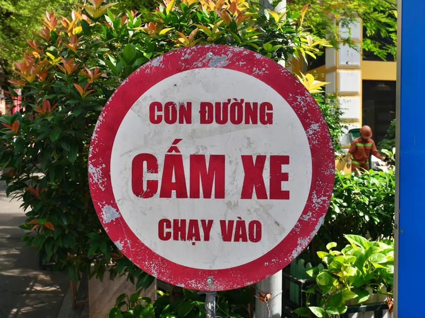 베트남 넷플릭스 인기작, 왜 이렇게 뜨거운가