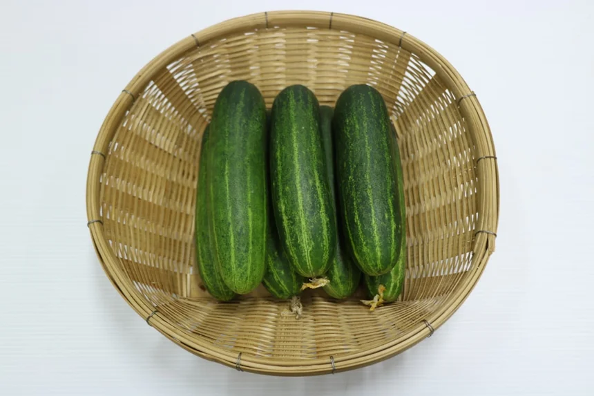 베트남 K푸드 인기 이유와 강력 추천 메뉴