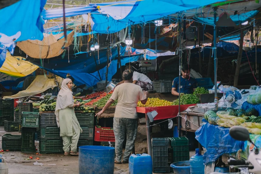 Vietnam EV Market