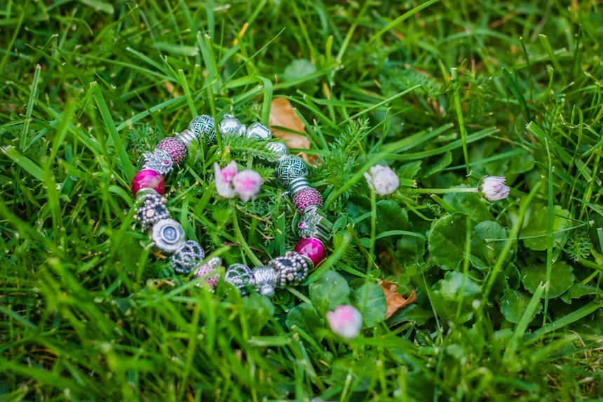 베트남 티하우스의 매력과 즐길 거리