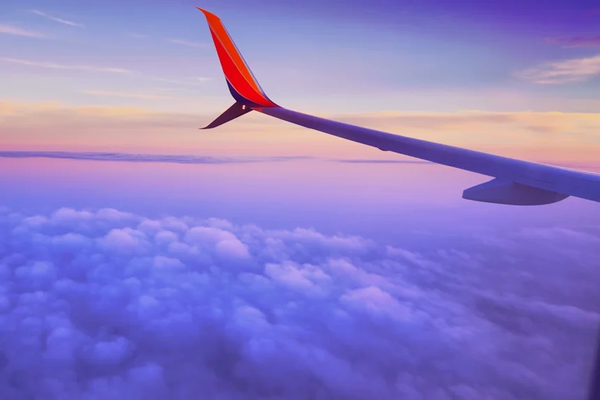 Flight
