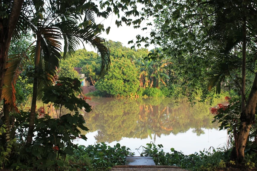 Mekong Delta