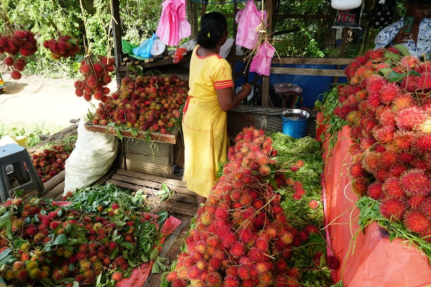 Rambutan