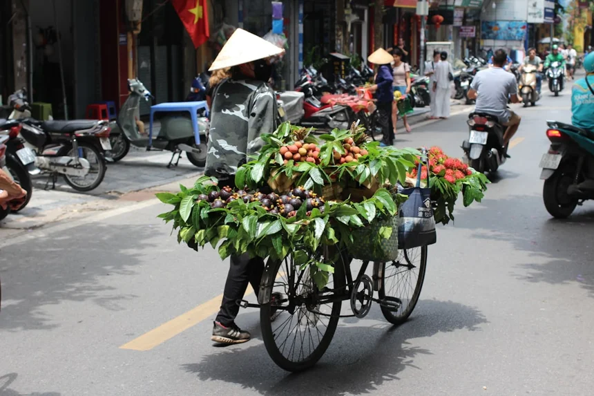 Vietnam Employment