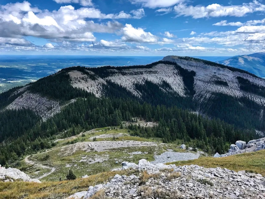 Viewpoint