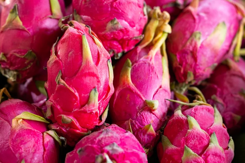 dragon fruit