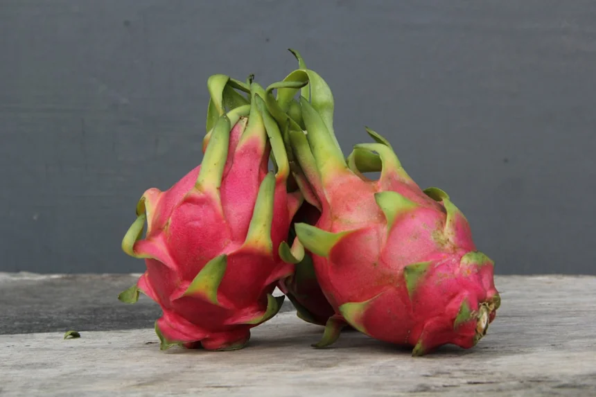 dragon fruit